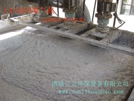 點(diǎn)擊查看詳細(xì)信息<br>標(biāo)題：CAF渦凹?xì)飧C(jī)使用現(xiàn)場(chǎng) 閱讀次數(shù)：15859